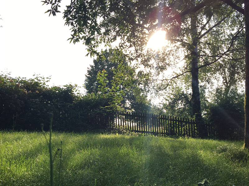 Garten unseres Seminarhauses in Remscheid