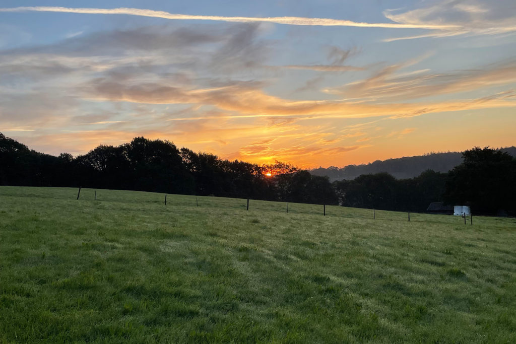 Sonnenaufgang über dem Wald in Remscheid
